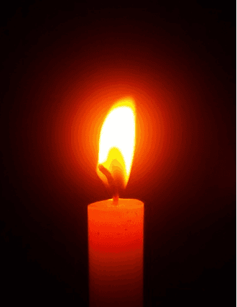William J. Molinari Obituary